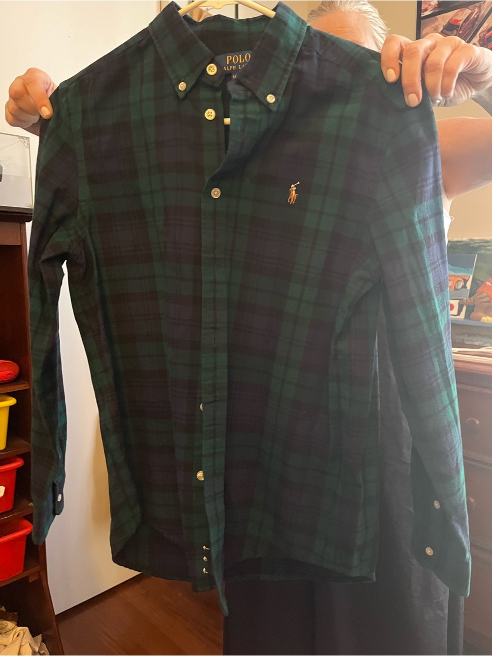Polo by Ralph Lauren Navy & Green Plaid Button-Down Shirt